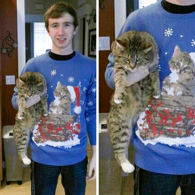 20 тварин, які не збираються прикидатися, що люблять цей ваш безглуздий Новий рік