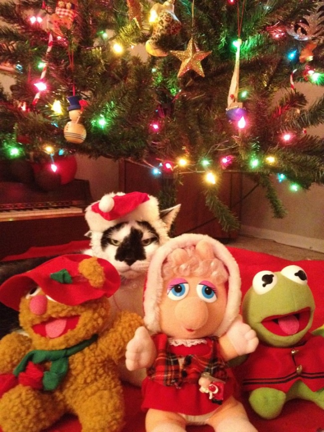 20 тварин, які не збираються прикидатися, що люблять цей ваш безглуздий Новий рік