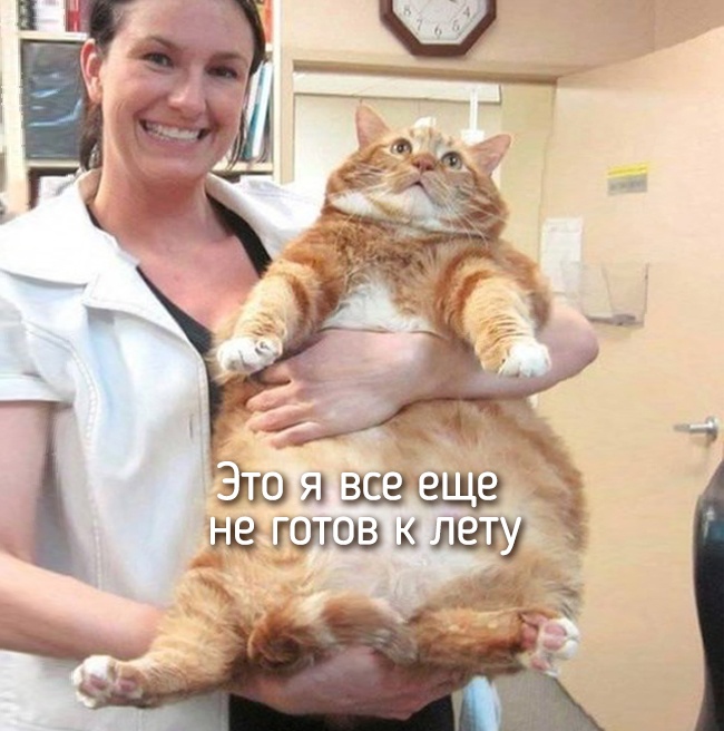 20 тварин, які поводяться зовсім як ми