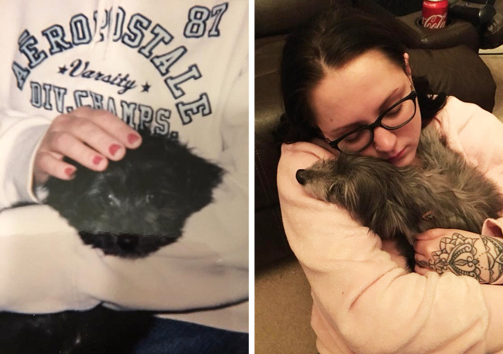 20+ тварин, які приготували людям сюрприз