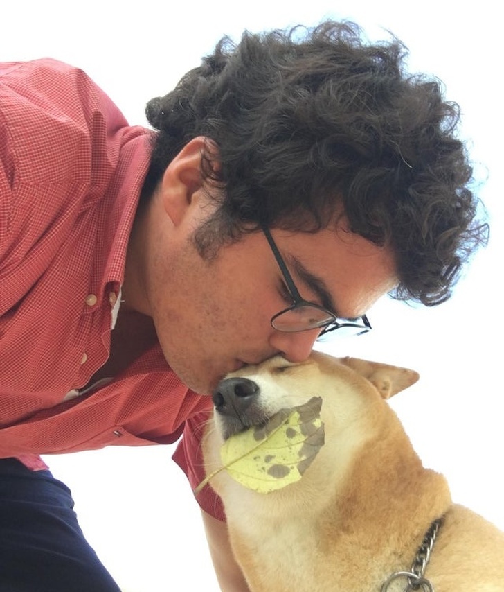 20+ тварин, які приготували людям сюрприз