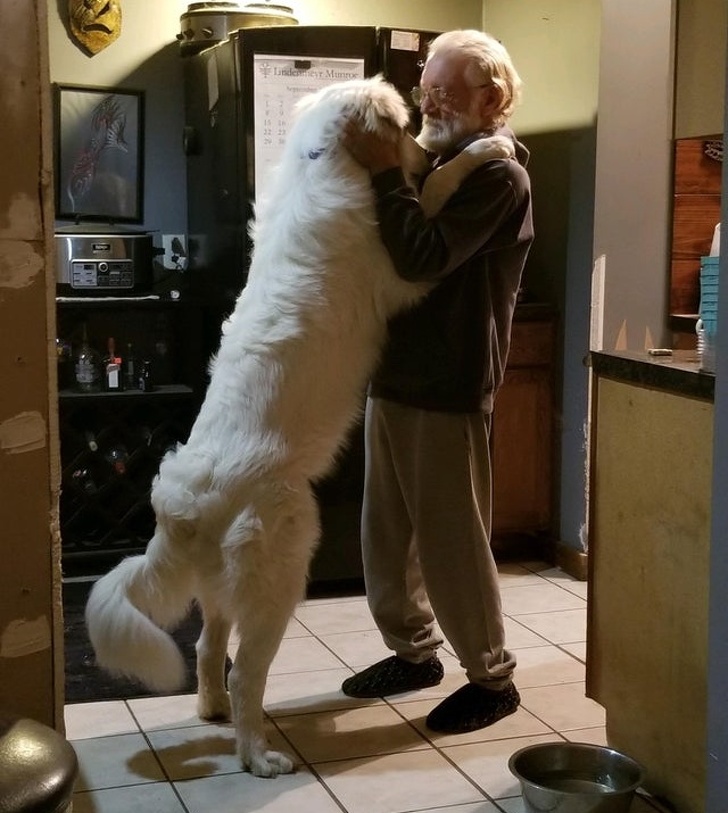 20+ тварин, які приготували людям сюрприз