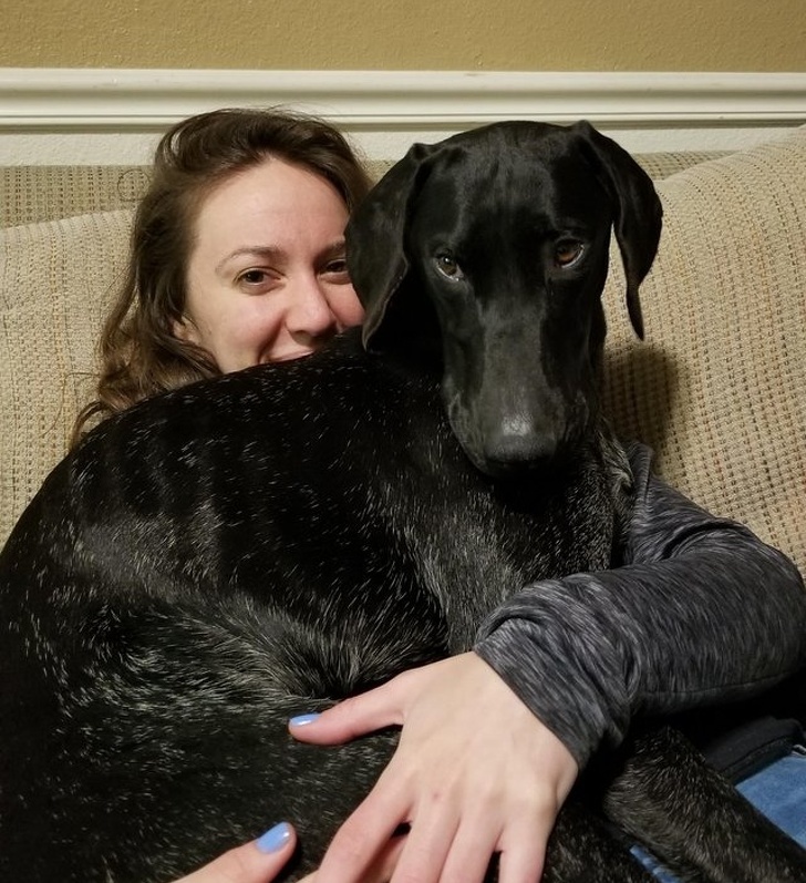 20+ тварин, які ще вчора були бездомними, а сьогодні знайшли родину