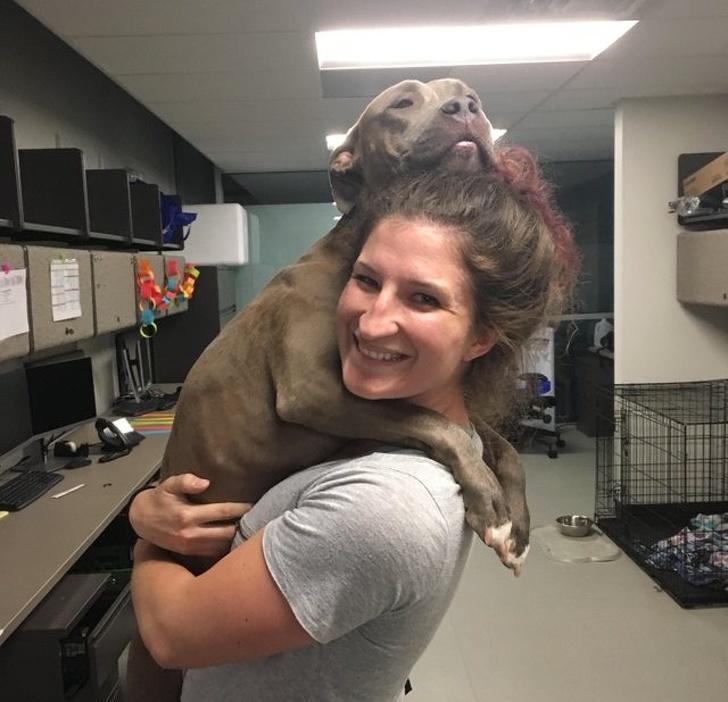 20+ тварин, які ще вчора були бездомними, а сьогодні знайшли родину