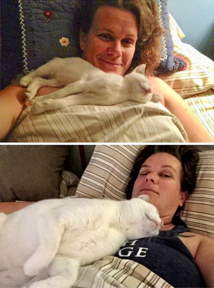 20+ тварин, які ще вчора були бездомними, а сьогодні знайшли родину