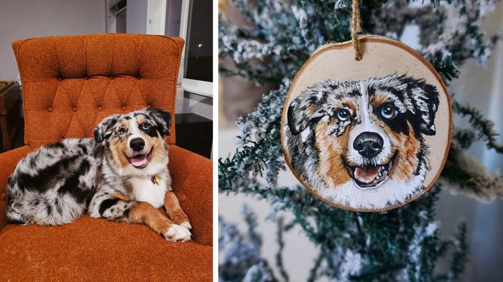 20+ тварин, які змусять вас відчути атмосферу Нового року вже зараз