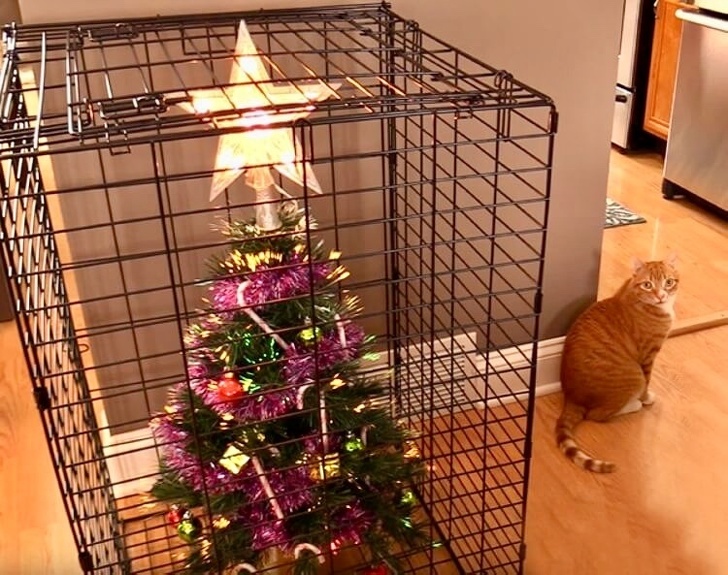 20+ тварин, які змусять вас відчути атмосферу Нового року вже зараз