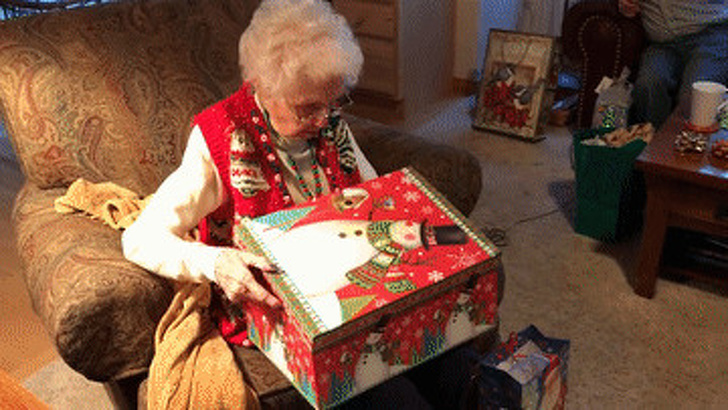 20+ тварин, які змусять вас відчути атмосферу Нового року вже зараз