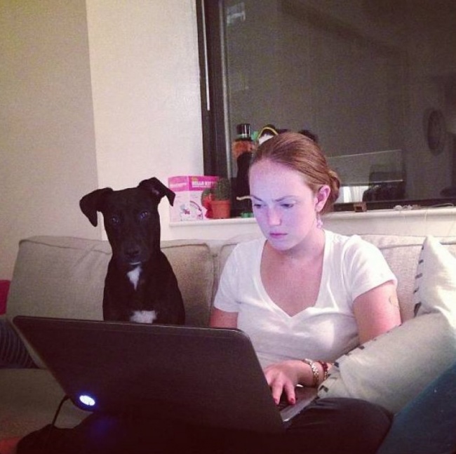 20 тварин, які знають, що робота — це не головне