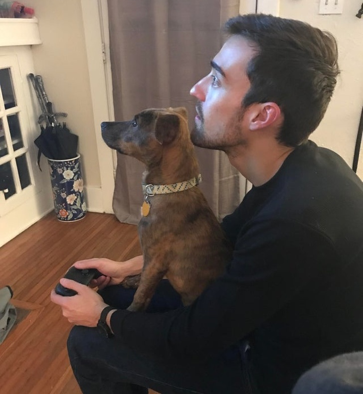 20+ тварин, які знають, як ефектно зайняти будь-яке місце (І у вашому серці теж)