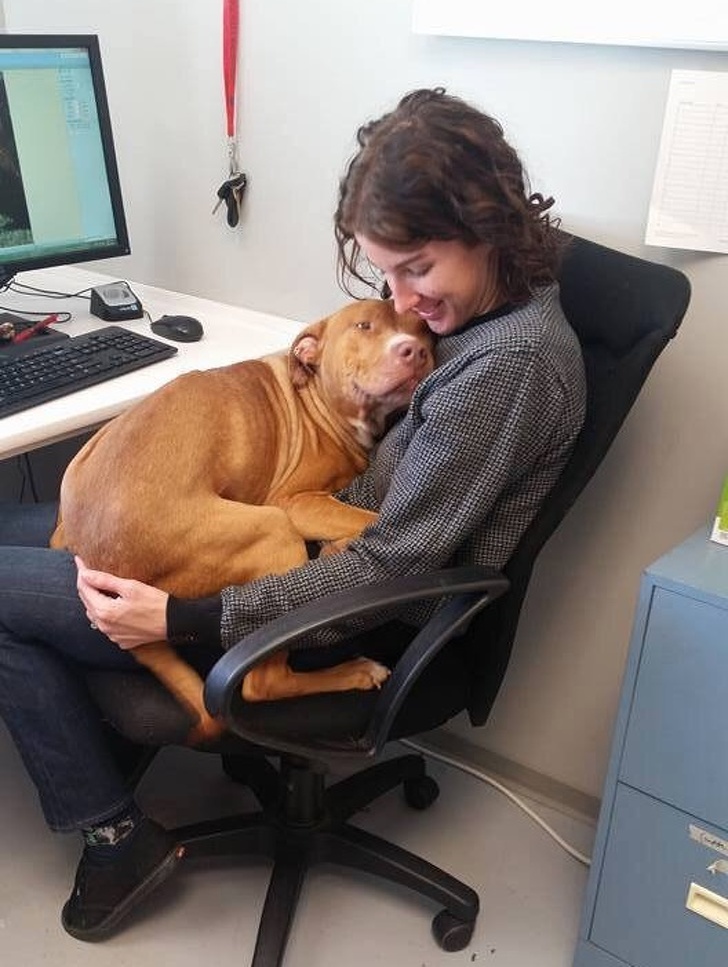 20+ тварин, які знають, як ефектно зайняти будь-яке місце (І у вашому серці теж)