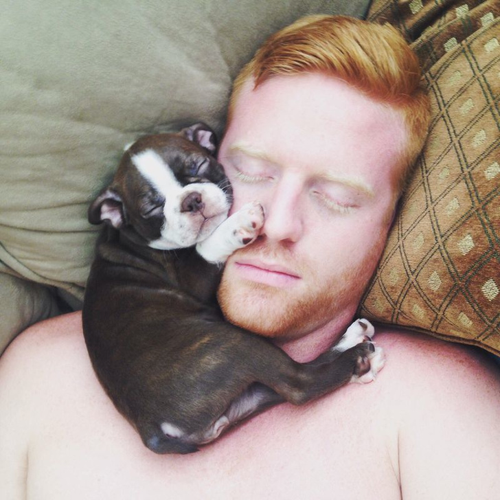 20+ тварин, які знають, як ефектно зайняти будь-яке місце (І у вашому серці теж)