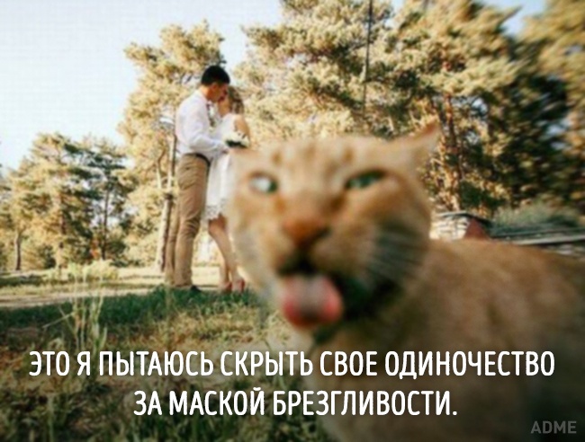 20 тварин, які зовсім як я