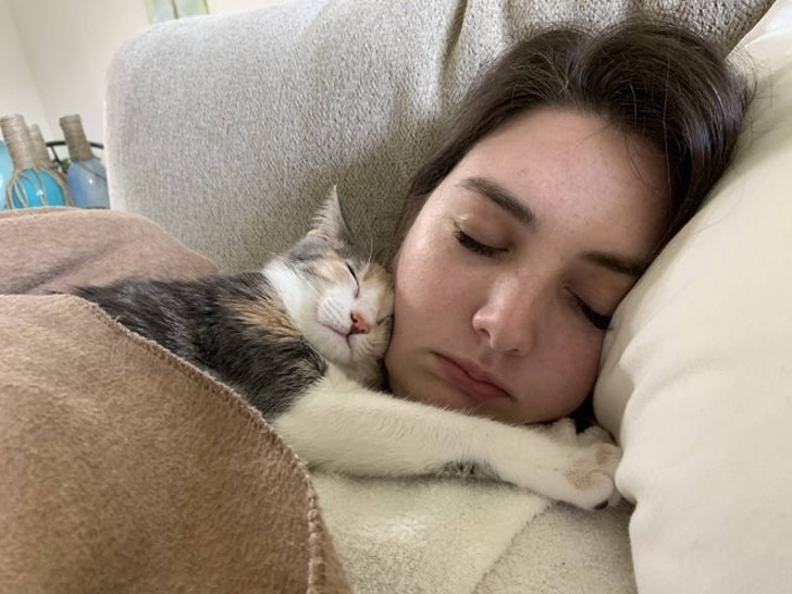 20+ тварин, яких так і хочеться схопити на ручки і ніколи не відпускати