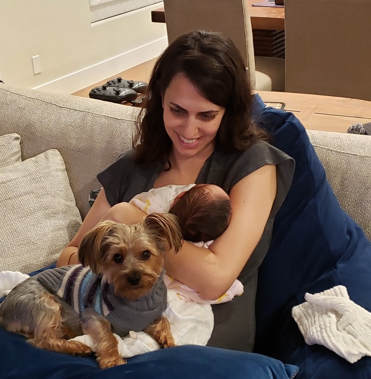 20 тварин, яким не знайоме поняття «особистий простір»