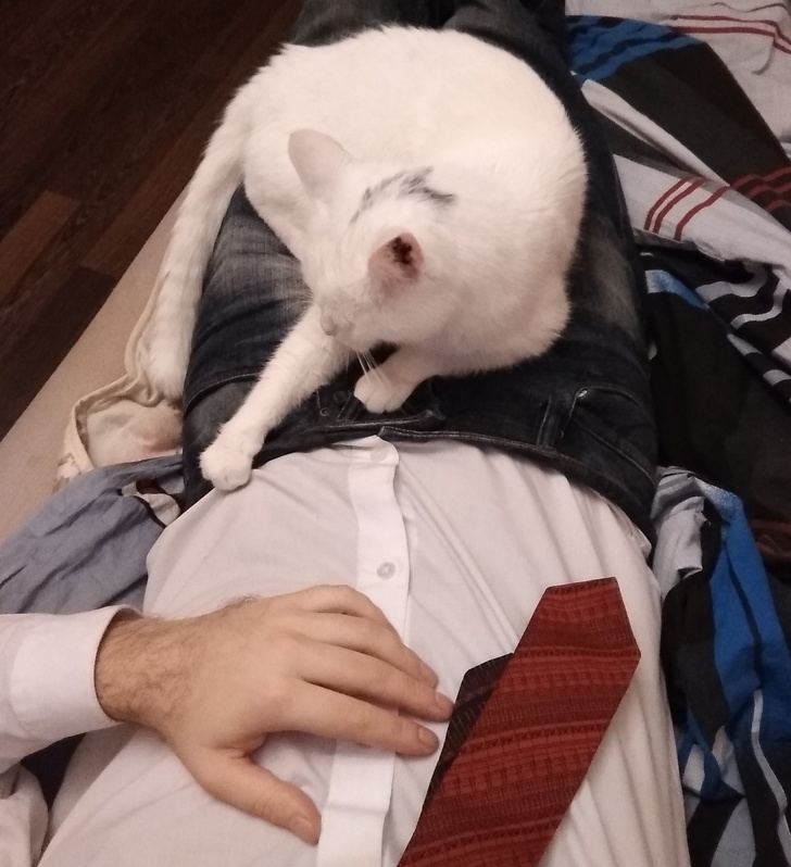 20 тварин, яким не знайоме поняття «особистий простір»