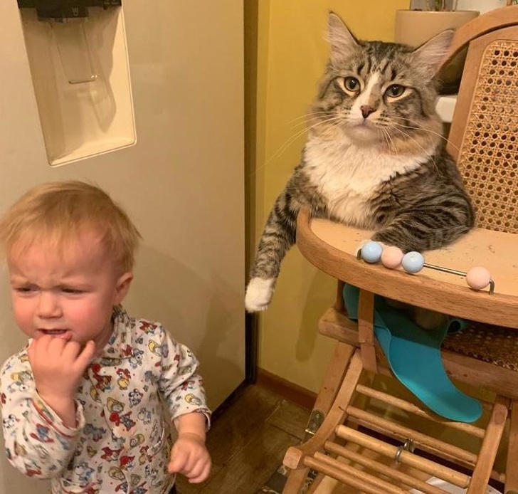 20 тварин, яким не знайоме поняття «особистий простір»