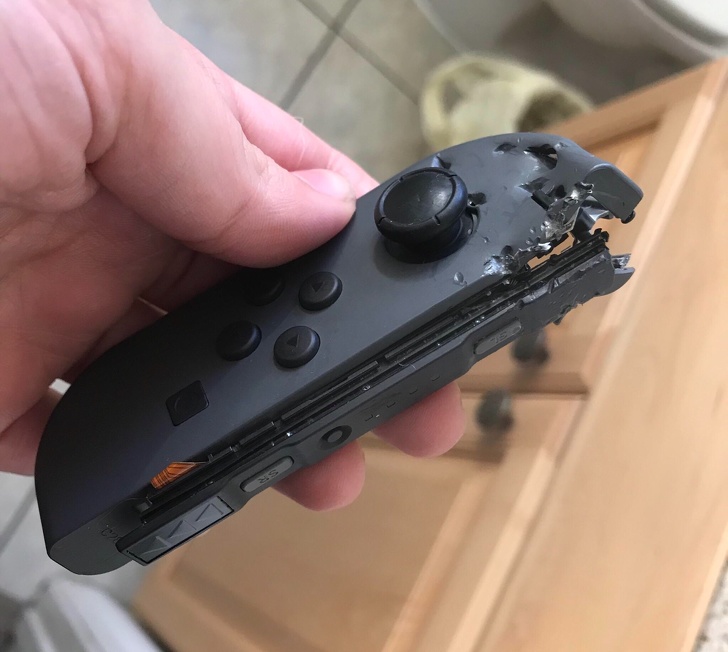 20 тварин, яким не знайоме поняття «особистий простір»