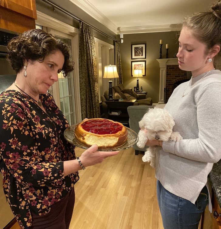 20 тварин, яким не знайоме поняття «особистий простір»