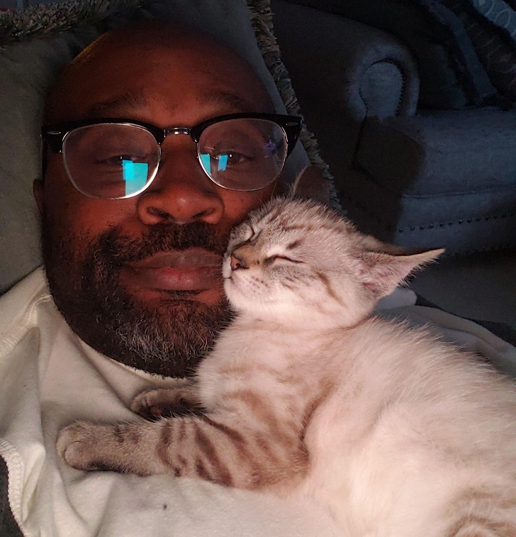 20 тварин, яким не знайоме поняття «особистий простір»