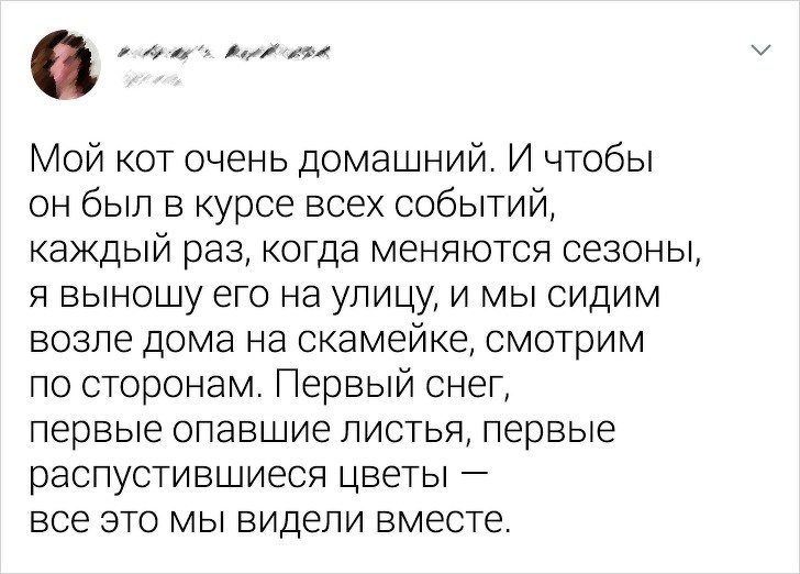 20+ тварин, заради яких господарі готові на все