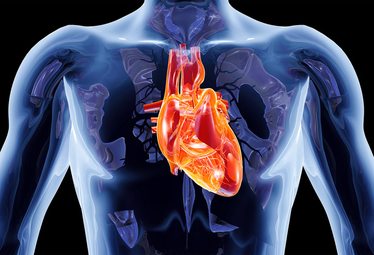 20+ вау-фактів, які поповнять ваш багаж знань унікальними відомостями