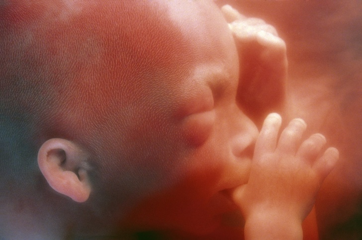 20+ вау-фактів, які поповнять ваш багаж знань унікальними відомостями