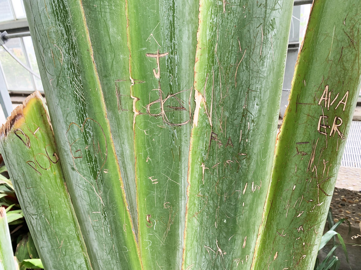 20 вчинків, які не стануть робити ті, хто називає себе Homo sapiens