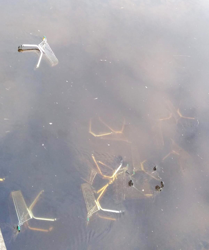 20 вчинків, які не стануть робити ті, хто називає себе Homo sapiens