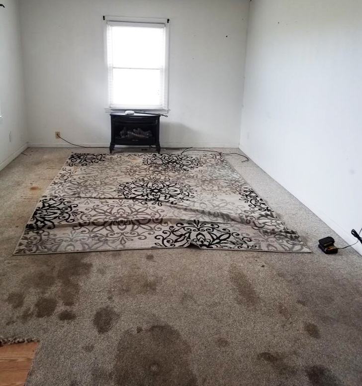 20 вчинків, які не стануть робити ті, хто називає себе Homo sapiens