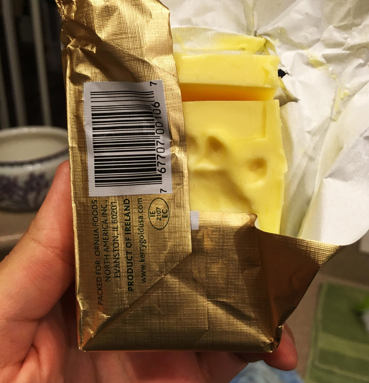 20+ вчинків, які здійснюють домашні тварини, коли ми на них не дивимося