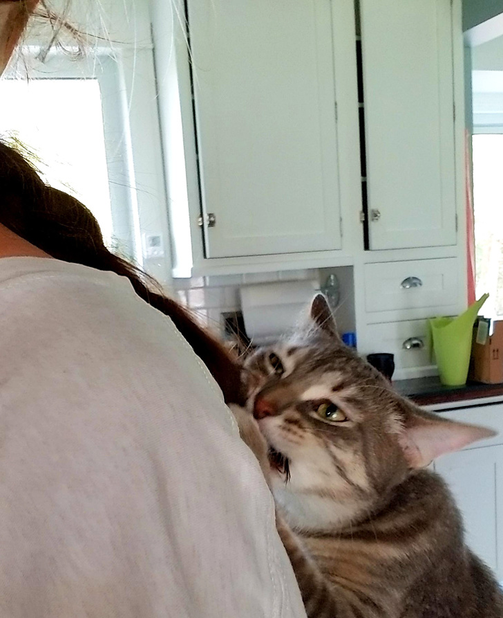 20+ вихованців, які не дозволяють своїм власникам нудьгувати ні хвилинки