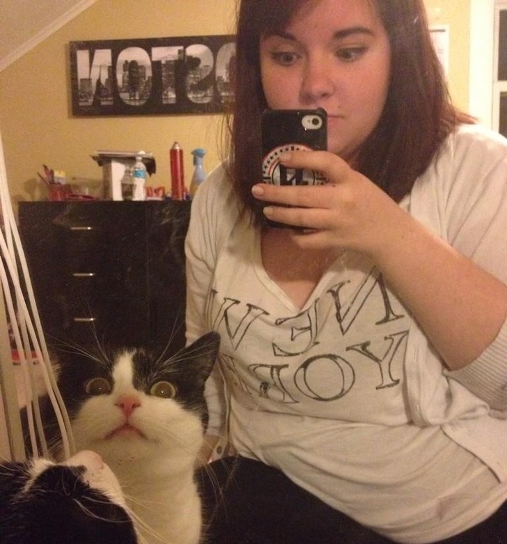 20+ вихованців, які опинилися один на один зі своїм відображенням