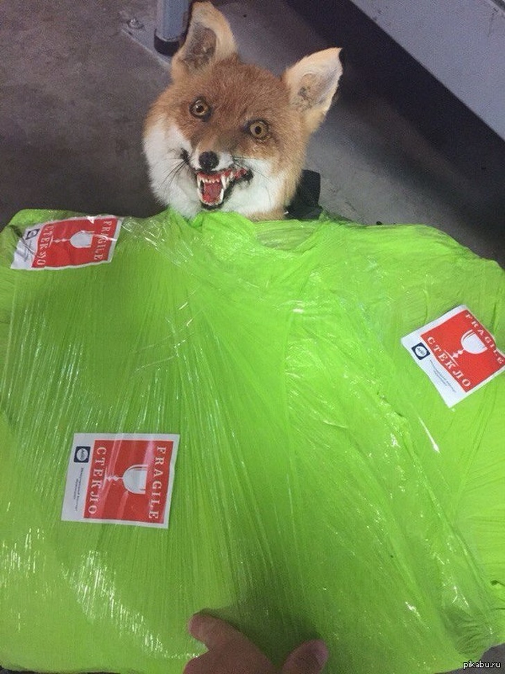 20+ влучних знімків з аеропорту, які оцінить будь авіапасажир