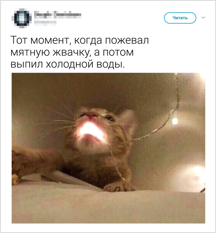 20+ життєвих моментів, які до болю знайомі кожному