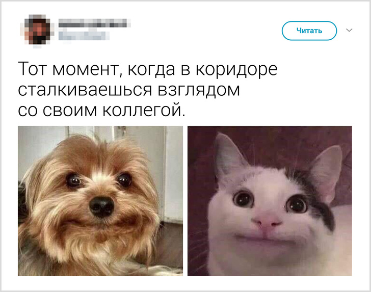 20+ життєвих моментів, які до болю знайомі кожному