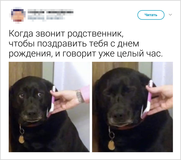 20+ життєвих моментів, які до болю знайомі кожному