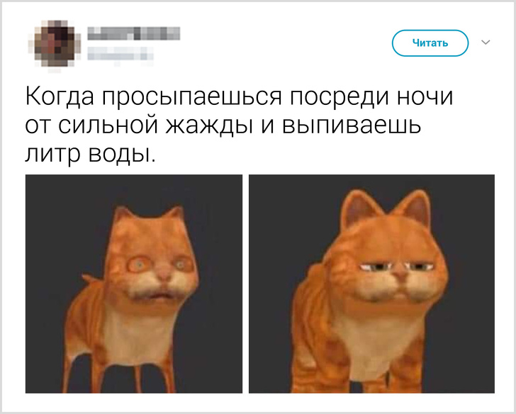 20+ життєвих моментів, які до болю знайомі кожному