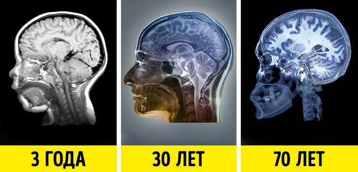 20 знімків, які раніше бачили тільки рентгенологи. А тепер можете і ви