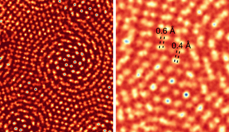 20+ зображень, які розкажуть про нашому тілі краще будь-якого підручника