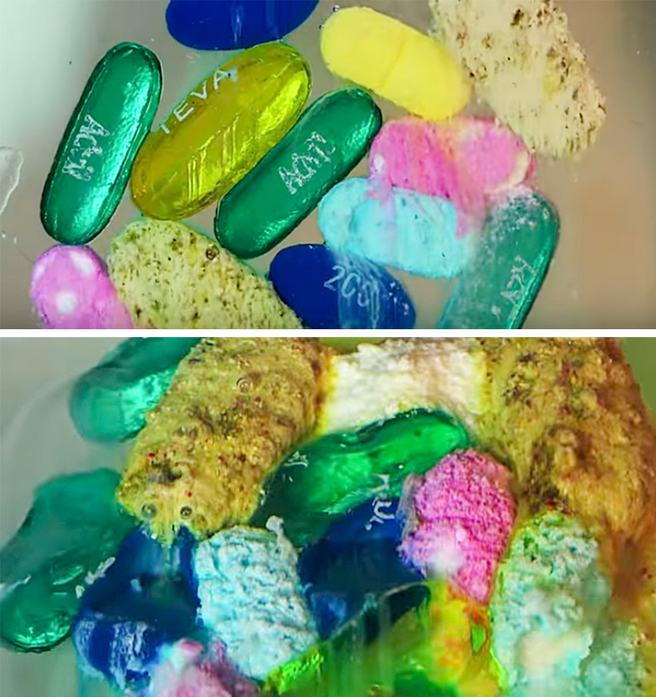 20+ зображень, які розкажуть про нашому тілі краще будь-якого підручника