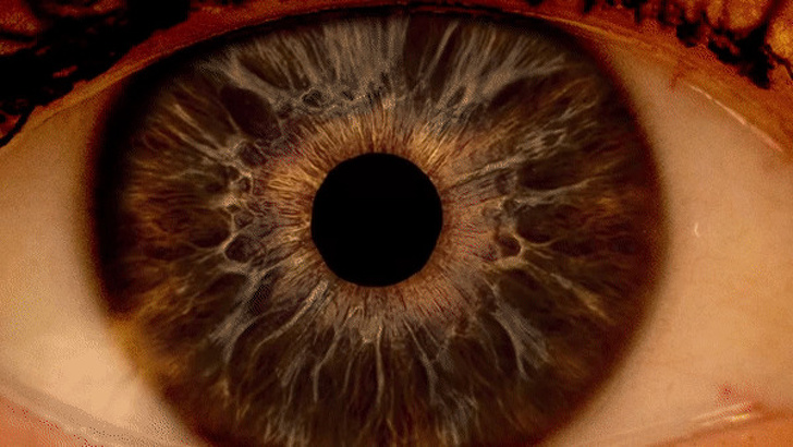 20+ зображень, які розкажуть про нашому тілі краще будь-якого підручника