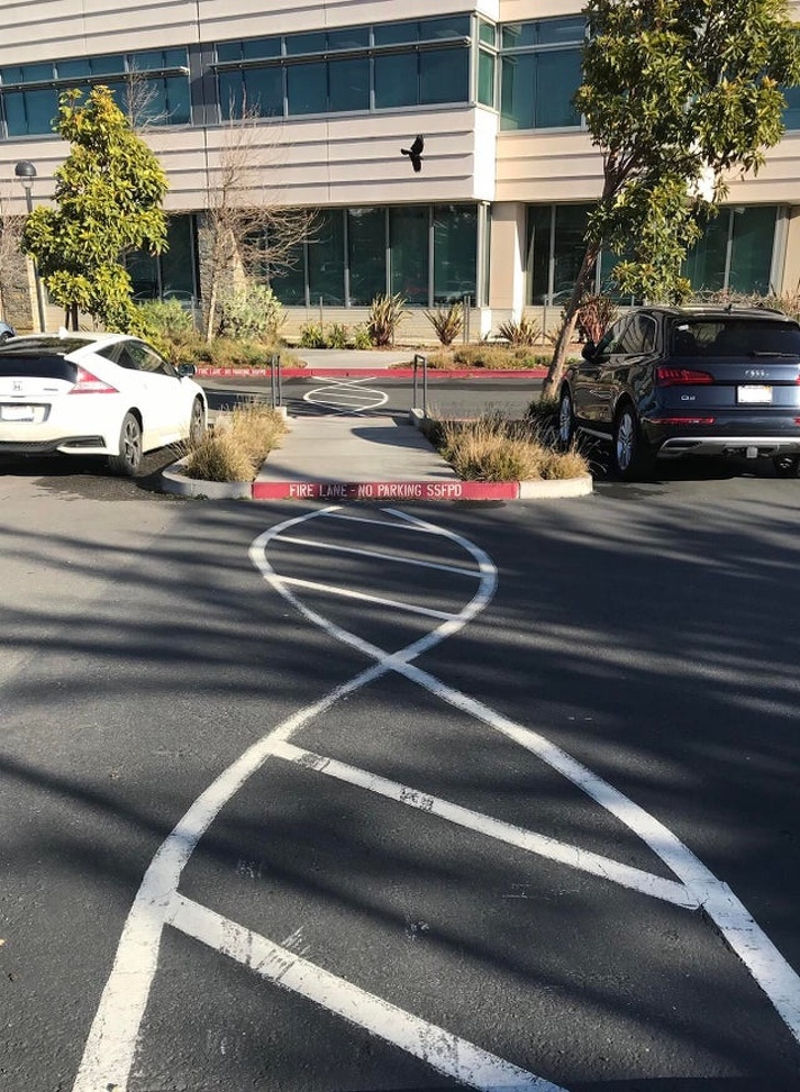 20+ звичних речей, дизайн яких переосмислили люди з особливим почуттям смаку