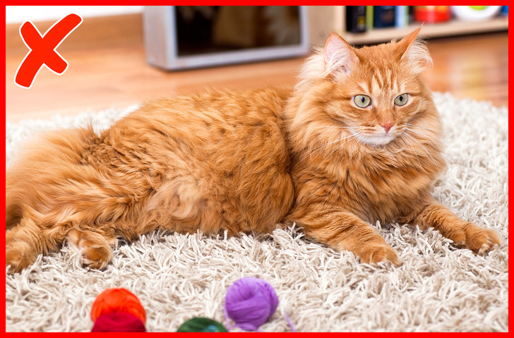 20+ звичних речей, які можуть виявитися небезпечними