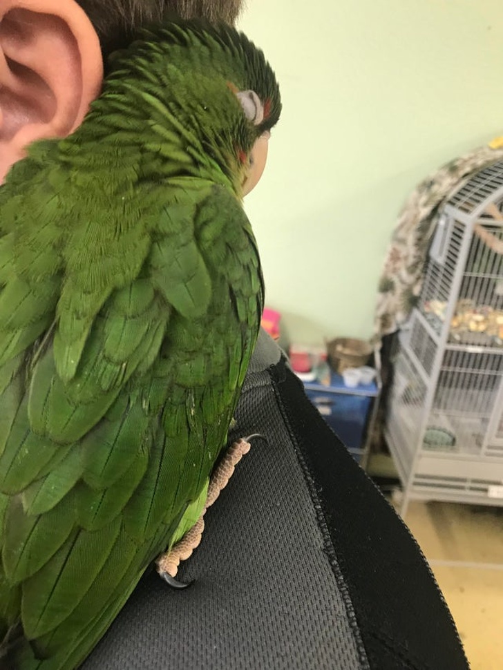 20+ зворушливих доказів того, що наші вихованці вже точно будуть з нами і в горі, і в радості