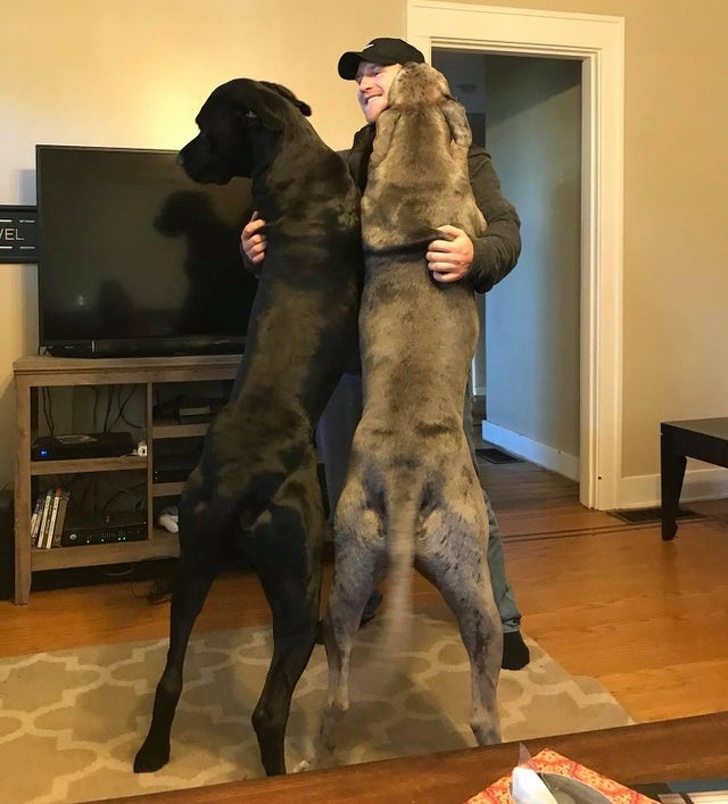 20+ зворушливих доказів того, що наші вихованці вже точно будуть з нами і в горі, і в радості