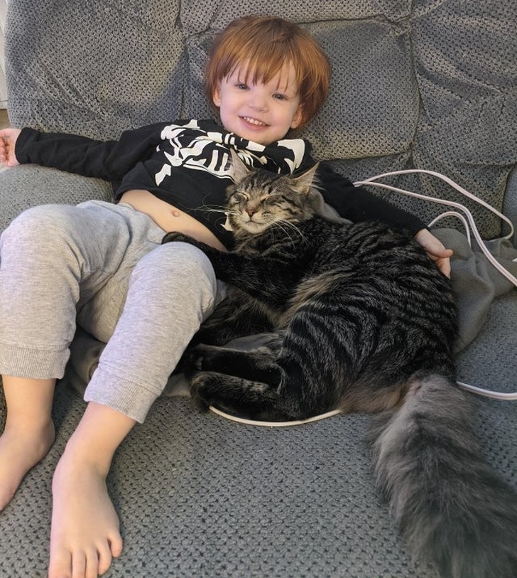 20+ зворушливих доказів того, що наші вихованці вже точно будуть з нами і в горі, і в радості