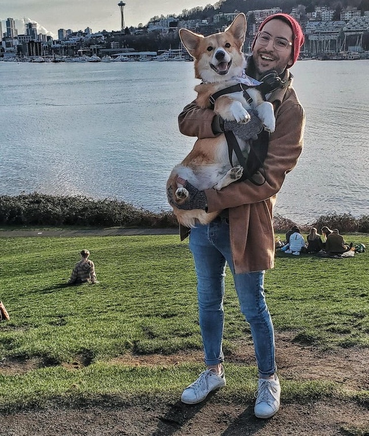 20+ зворушливих доказів того, що наші вихованці вже точно будуть з нами і в горі, і в радості