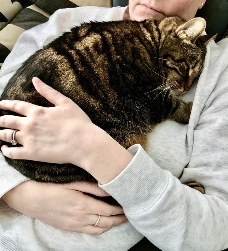 20+ зворушливих доказів того, що наші вихованці вже точно будуть з нами і в горі, і в радості