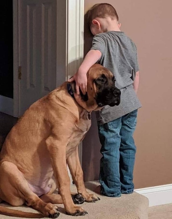 20+ зворушливих доказів того, що наші вихованці вже точно будуть з нами і в горі, і в радості